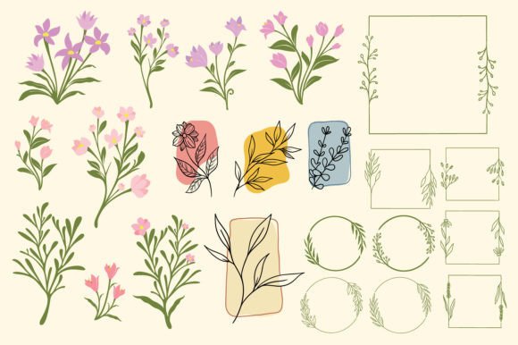 Flowers and Frames Vector Set for Modern Branding