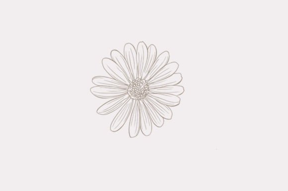 Individual Flowers Graphics for Modern Editorial Design