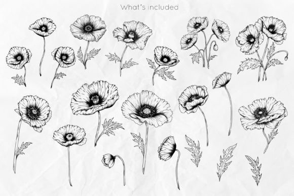 Poppy Flowers Line Art SVG for Crafters
