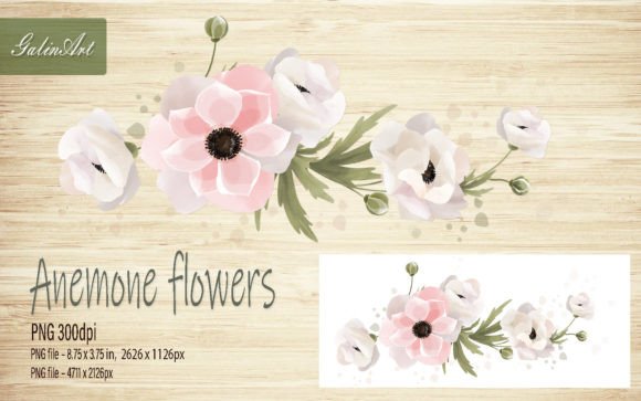 Watercolor Branch of Flowers Anemone Graphics